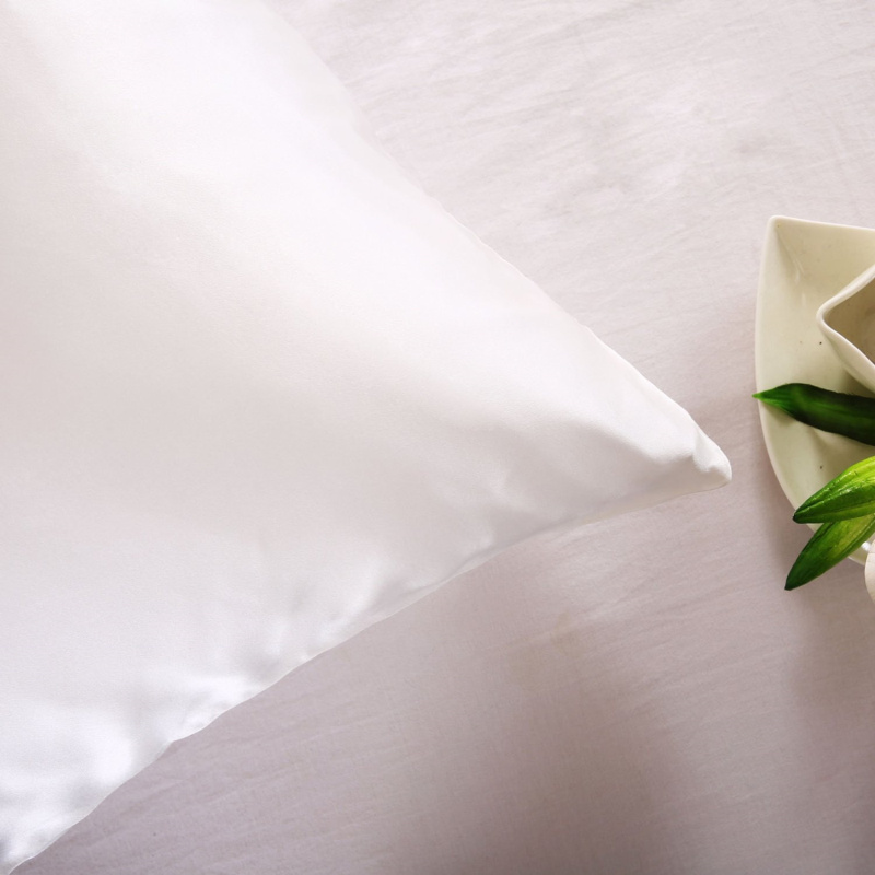 100% 自然桑シルク枕カバージッパー枕カバー枕ケース健康標 - Silk Pillowcase のレビューと価格